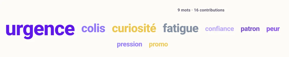 Nuage de mots Kelca projeté : « urgence » en très grand, puis colis, curiosité, fatigue, patron.